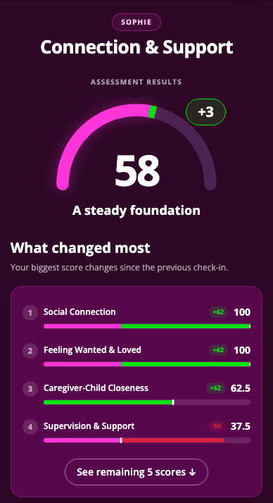 tinyGuardian connection and support assessment results screen